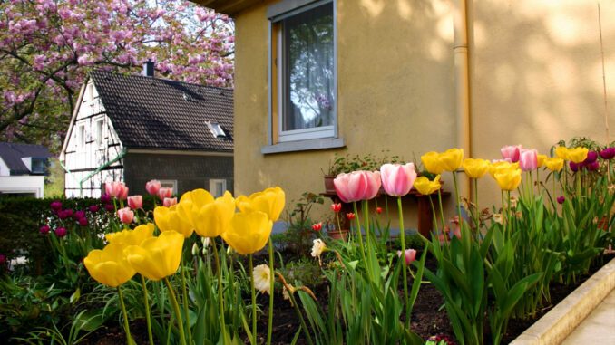 im Frühjahr so wird er ein Hingucker