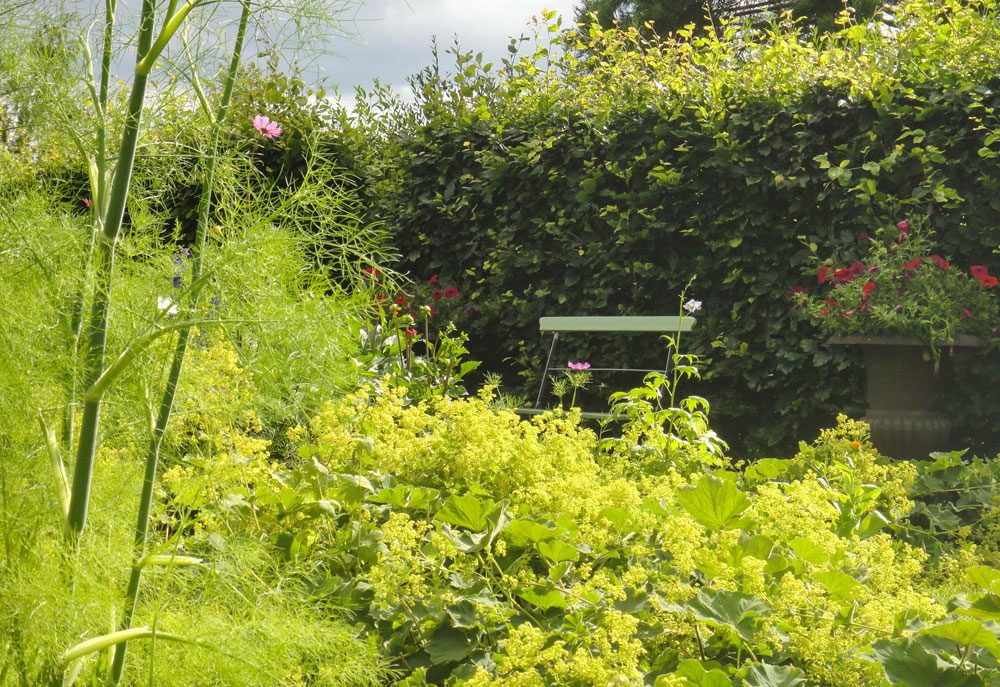 Hecke als Sichtschutz Privatsphäre Im Garten