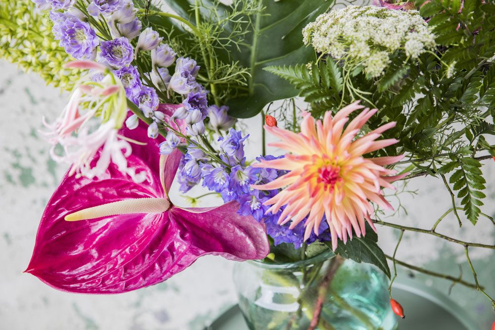 Blumen in einer Vase Anthurien kombinieren