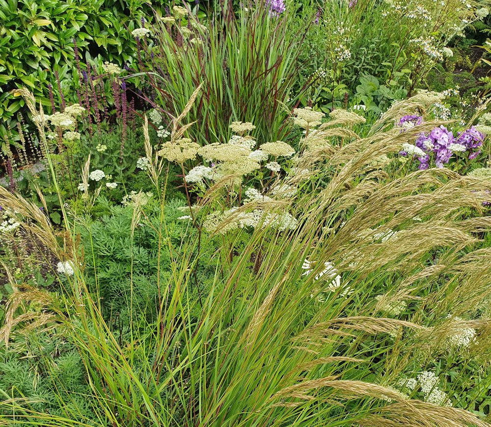 Stauden-Gräser-Beet Gartengestaltung Gräser