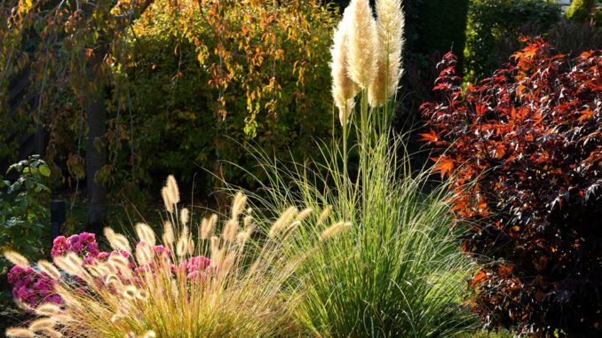 Verblühtes im Herbst nicht schneiden Winterquartier und Raureiffänger