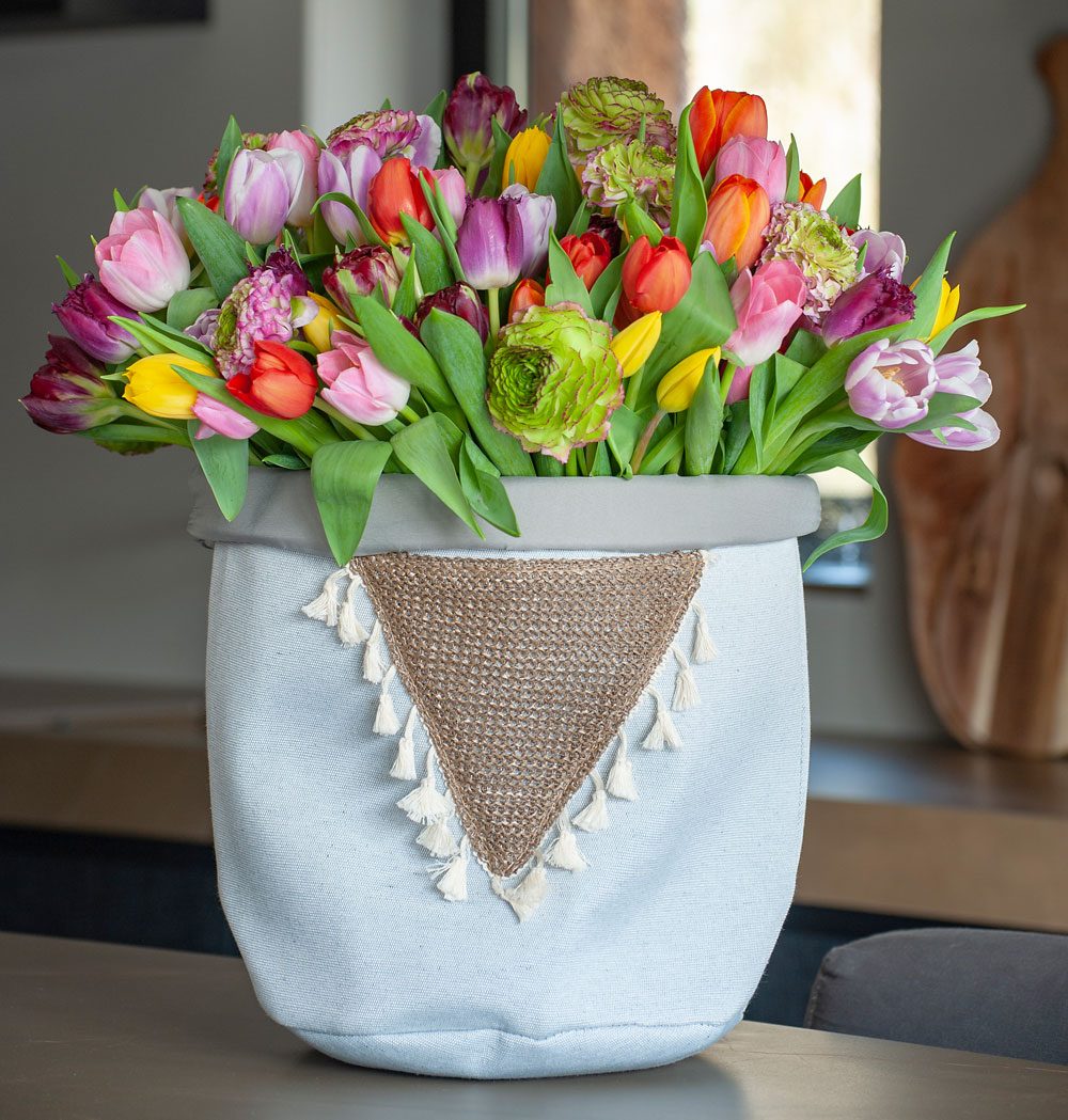Foto: TPN/ibulb. - Vor allem dank gezielter Züchtungen in den Niederlanden gibt es Tulpen heute in fast jedem Farbton. Tulpen Züchtungen
