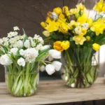 Tulpen in der Vase Tipps