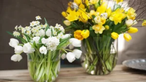 Tulpen in der Vase Tipps