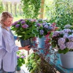 Gartentrend Outdoor Living: So wird der Balkon zum blütenstarken Wohnzimmer