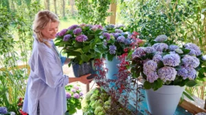 Gartentrend Outdoor Living: So wird der Balkon zum blütenstarken Wohnzimmer