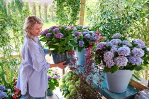 Gartentrend Outdoor Living: So wird der Balkon zum blütenstarken Wohnzimmer