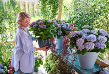 Gartentrend Outdoor Living: So wird der Balkon zum blütenstarken Wohnzimmer