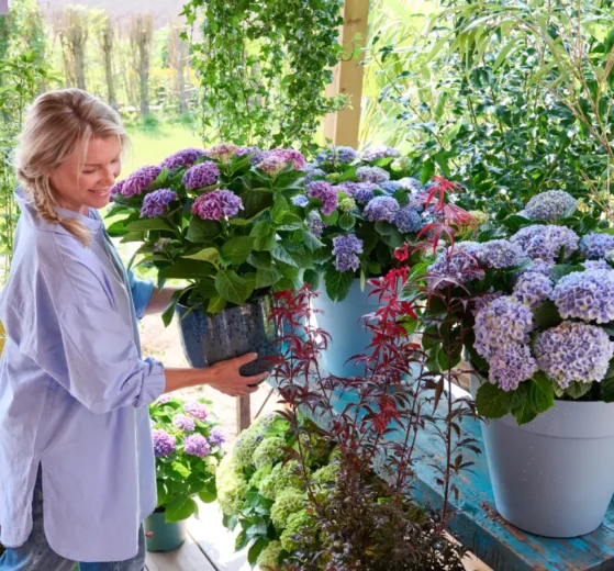 Gartentrend Outdoor Living: So wird der Balkon zum blütenstarken Wohnzimmer