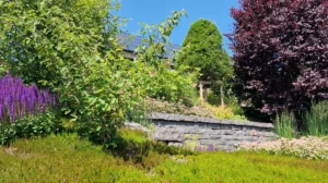Drei Gestaltungsideen für den Vorgarten