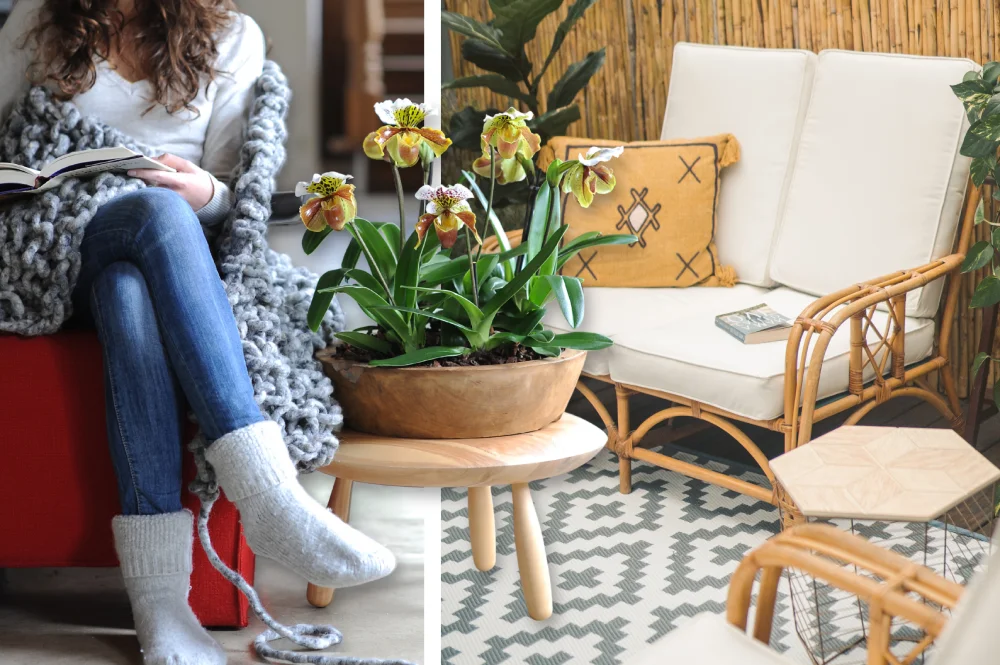 Orchideen für Outdoor-Wohnzimmer