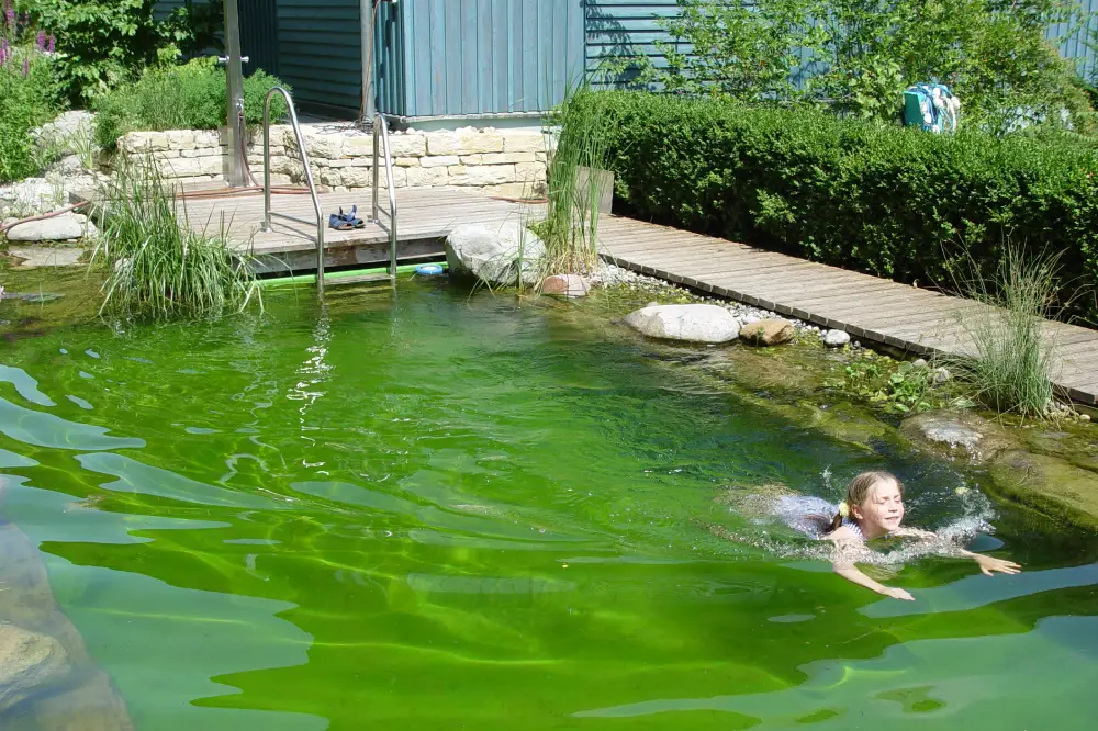 Garten mit Wasser vielseitig aufwerten.