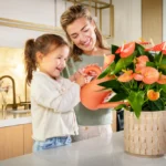 Tipps und Tricks für Anthurien