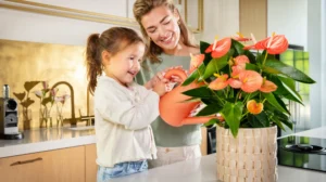Tipps und Tricks für Anthurien