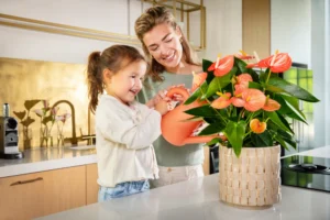Tipps und Tricks für Anthurien