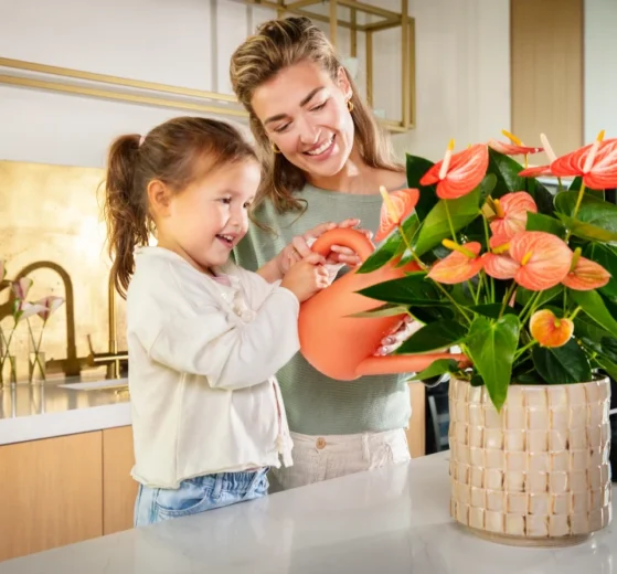 Tipps und Tricks für Anthurien