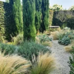 Hitzekünstler im Garten: Spannende Strategien gegen Trockenheit