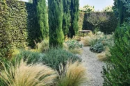 Hitzekünstler im Garten: Spannende Strategien gegen Trockenheit