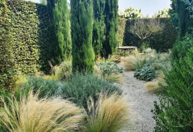 Hitzekünstler im Garten: Spannende Strategien gegen Trockenheit