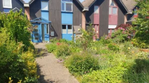 Kleiner Garten: Reihenhausgrundstück gestalten