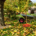 Das Laub muss weg? Oh nein! Ammenmärchen aus dem Herbstgarten